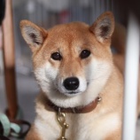 『7月2日（土）にご来場予定の皆様へ』の画像