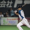 日ハム田中賢介って名選手かな？
