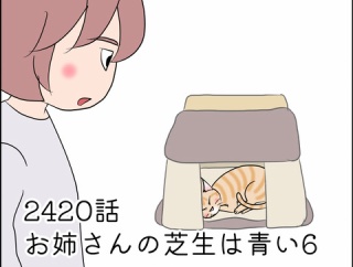 あんこ＆麦2420 お姉さんの芝生は青い６