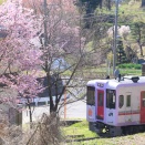 JR東日本キハ110系長野車両センター@キハ110-225（春盛り）