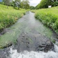 夏の旅26日目最終日〜豪雨の中を無事帰宅❗️真狩村から函館市 200km