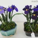 2026年3月ハンドメイドの1位は花小物さん♪