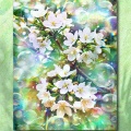風薫る白い花の庭 Whispers of Eden