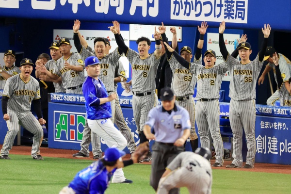 阪神タイガース ボブルヘッド 鳥谷 西岡 新井良 桧山 藤浪5体