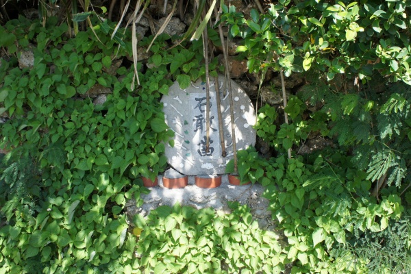 やわやわ わやわや 波照間島