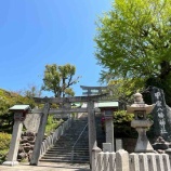 『大分・福岡・山口旅行記④ 北九州の隠れ名所 源義経も祈願した門司の鎮守・甲宗八幡宮』の画像