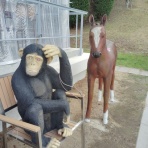 仁科カオル の YAH! YAH! YAH!