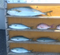 　　　　　　　　２０２５年11月7日