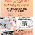 川口市密蔵院　桜まつり2026のお知らせ