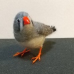 白文鳥P田ピイの日記（T）