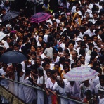 風の動物病院のブログ