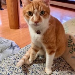 だいじろう日和。