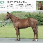 新入一口馬主の活動履歴