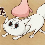 セニョリータかめのバルセロナ生活
