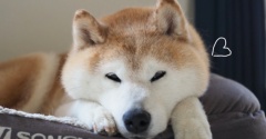 ゆっくりね…