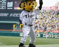 阪神ファン　横浜を心から心配する「バウアー今永抜けるって阪神でいうたら・・・」