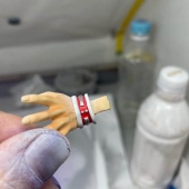 ����������