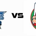 【実況・雑談用】9/21公式戦　横浜DeNAベイスターズvs広島東洋カープ