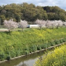 ４月５日（日）練習報告