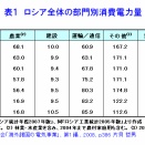 ロシアの電力不足：モスクワに迫る危機とその背景