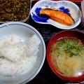 水原弘♬黄昏のビギン