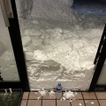 豪雪