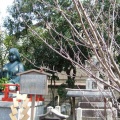 おかめ塚（北野）