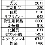下流のお一人様家計簿blog☆彡