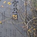 おひさまの煌めき