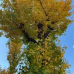 藤田コーチの くう・ねる・テニス NEW