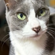 ダイソーで買った50円の種と330円のお人形