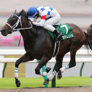 ☆うまなみ・競馬にゅーす速報
