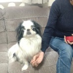 両国ずんだぱんだ物語