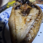 ワンちゃん☆ママン奮闘記