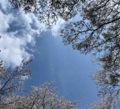 NPD/自己愛性パーソナリティ障害？なフレネミーとは？特徴と心理的嫌がらせへの対処法