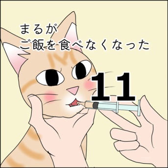 まるがご飯を食べなくなった11