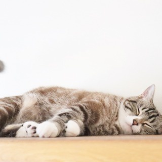 菊野台・骨盤調整とやさしいヨガの会