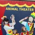 にこにこ北茨城ブログ