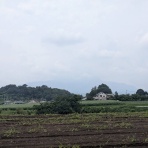 Ancient Botanical Garden