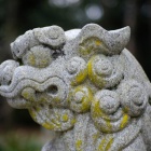 『奈良の正月2020④　2020/01/07』の画像