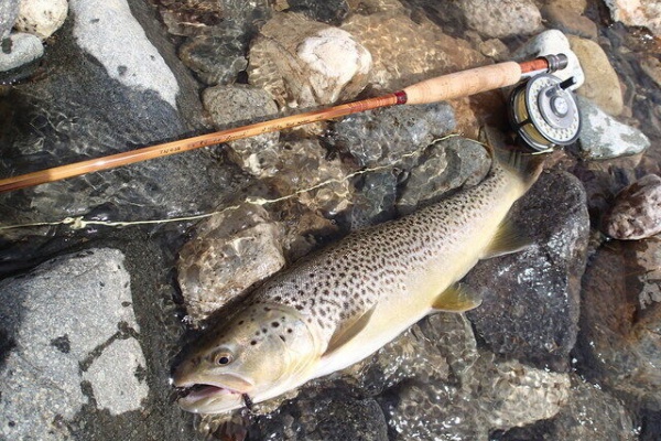 J.Yokota Rod Maker | 横田ロッドブログ - 2020年09月