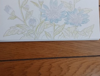 色鉛筆ぬり絵・・　　