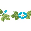 夏のバラとお花