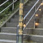 早稲田大学社会医学研究室～セカイイチおいしいゼミ～