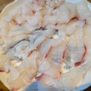 吉方位旅行で鯛を釣って帰ってきました