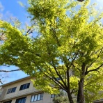 湖畔の宿 森本　時季折々～tokioriori～