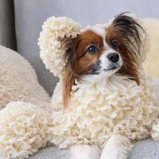 専業主婦まさきの一日