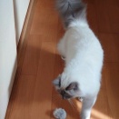 仕事始めにヨガ教室始めに。