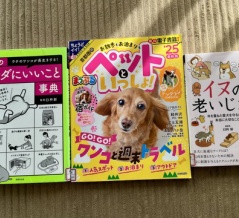 昔は、同情されがちだった【ひとりっこ】だけど… / 図書館