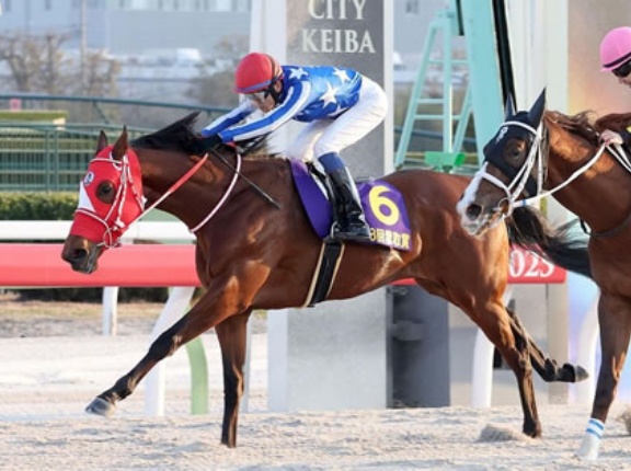 【雲取賞/大井】リアライズグリントが競り合いを制してＶ！羽田盃への優先出走権奪取